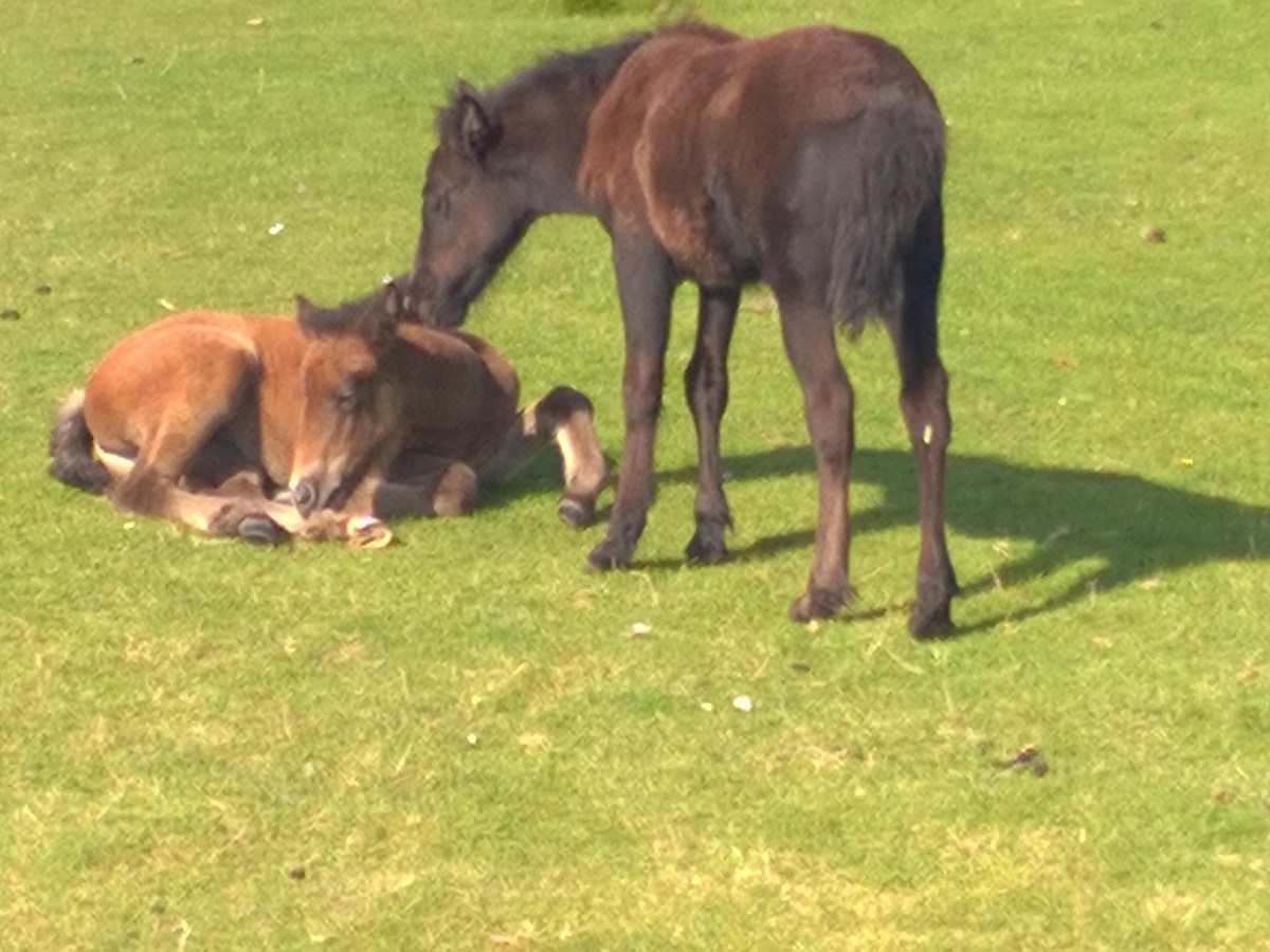 What is(n’t) this thing called&nbsp;love?