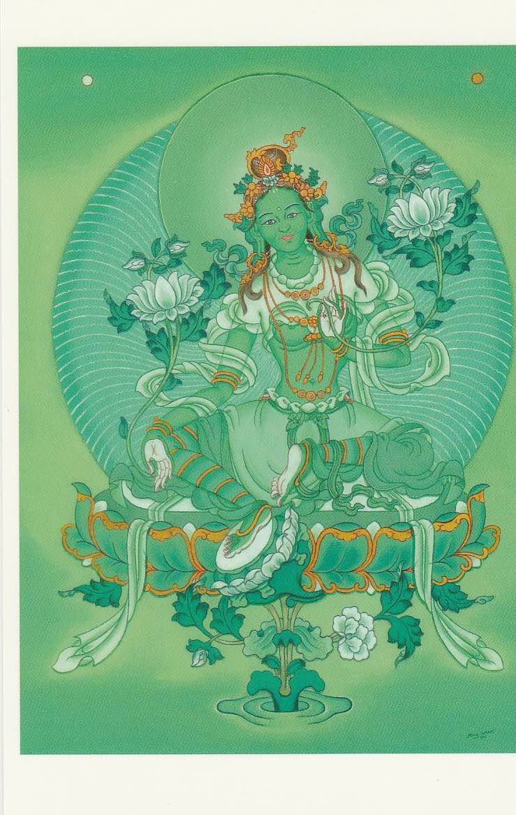 green-tara_20161222_0001