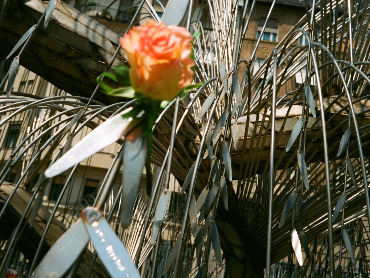 Rachel Rozsa                                                                                            ***************************                                                                                             In memory of my grandmother on Holocaust Memorial&nbsp;Day