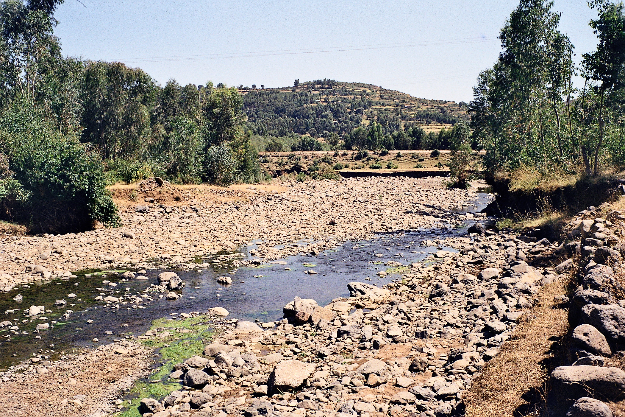 Stream:view Nr Wolleqa