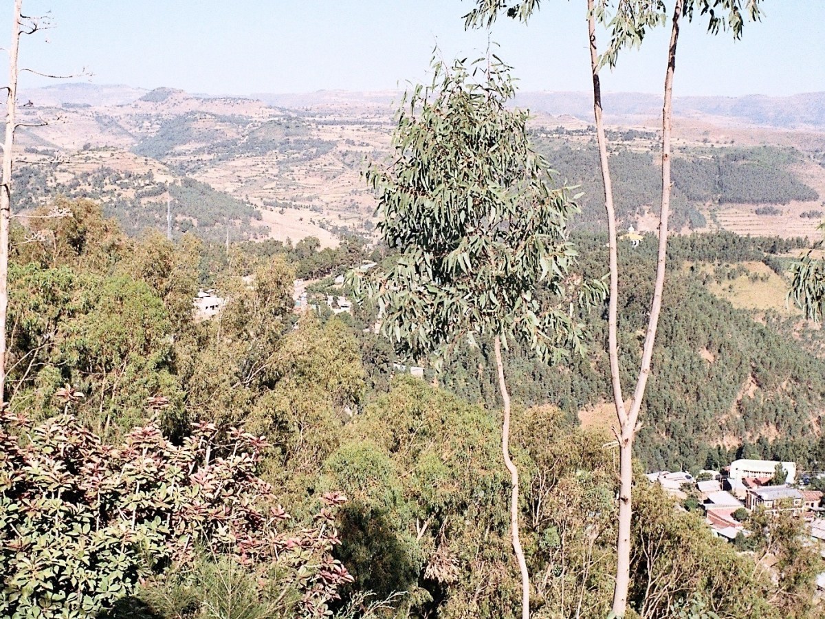 Beauty of Ethiopia – Gondar & Lake Tana, Bahar&nbsp;Dar